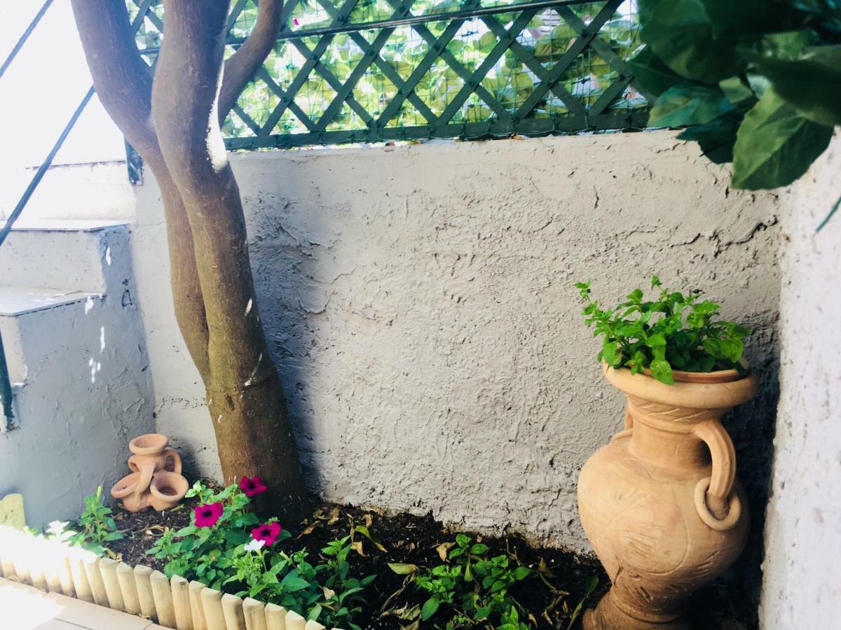 ホテル Il Giardino Segreto テッラロ エクステリア 写真
